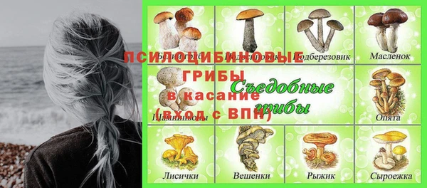 гидропоника Абдулино