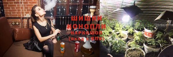 крисы Абаза