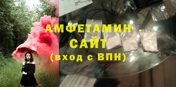 крисы Абаза